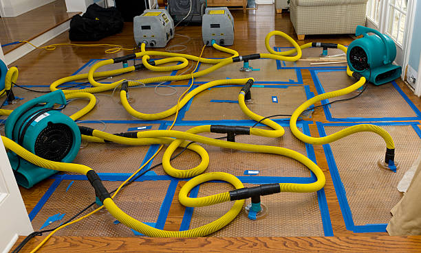 Professional Structural Drying And Dehumidification technician working in Brinkhaven, OH
